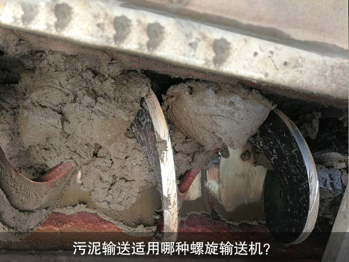 污泥螺旋輸送機